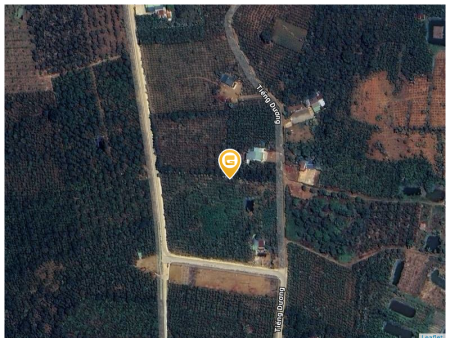 Bán đất 1000m² 500 triệu tại Xã Lộc Đức Huyện Bảo Lâm