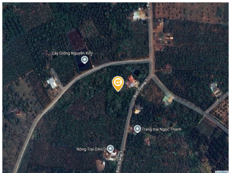 Bán đất 1000m² 500 triệu tại Xã Lộc Đức Huyện Bảo Lâm
