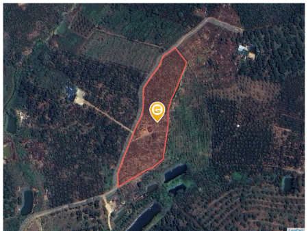 Bán đất 1000m² 500 triệu tại Xã Đinh Trang Hòa Huyện Di Linh