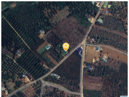 Bán đất 1000m² 500 triệu tại Xã Lộc Đức Huyện Bảo Lâm