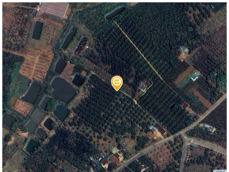 Bán đất 1000m² 500 triệu tại Xã Lộc Đức Huyện Bảo Lâm