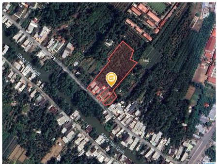 Bán đất 5950m² tại Xã Tân Quới Huyện Bình Tân