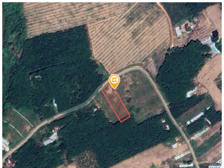Bán đất 945,7m² 900 triệu tại Xã An Linh Huyện Phú Giáo
