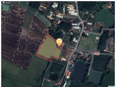 Bán đất 6811.5m² 1.75 tỷ tại Xã An Bình Huyện Châu Thành