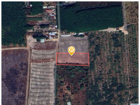 Bán đất 4223.4m² 4.4 tỷ tại Xã Trừ Văn Thố Huyện Bàu Bàng