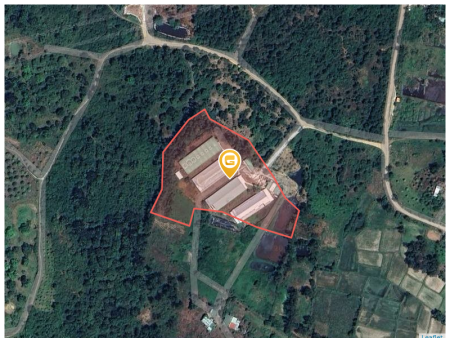 Bán đất 11138.5m² 10 tỷ tại Xã Diên Sơn Huyện Diên Khánh