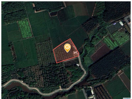 Bán đất 2 sổ tổng 10000m² 12 tỷ tại Xã An Tây Thị xã Bến Cát