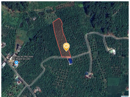 Bán đất 4279.7m² 2.3 tỷ tại Xã Hòa Bắc Huyện Di Linh