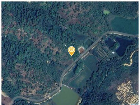 Bán đất 160000m² 12.5 tỷ tại Xã Tiên Hoàng Huyện Cát Tiên