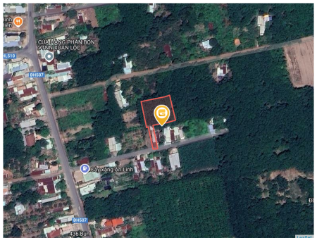 Bán đất 1918.4m² tại Xã An Linh Huyện Phú Giáo