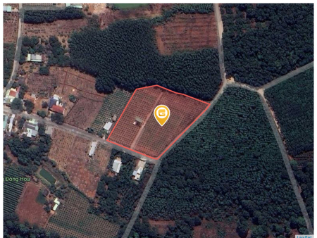 Bán đất 9447.5m² 16 tỷ tại Xã Bông Trang Huyện Xuyên Mộc