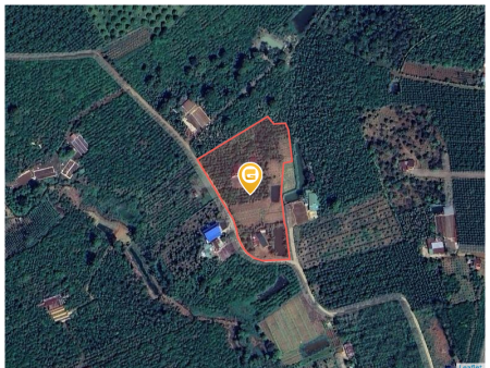 Bán đất 7442.6m² tại Xã Liên Đầm Huyện Di Linh