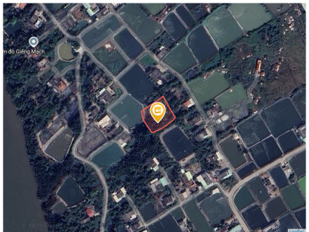 Bán đất 1628.8m² 5 tỷ tại Xã Nhựt Ninh Huyện Tân Trụ