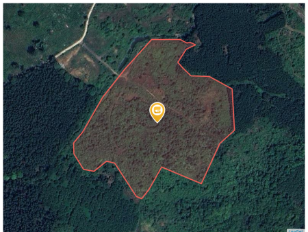 Bán đất 57000m² 8 tỷ tại Xã Khánh Đông Huyện Khánh Vĩnh