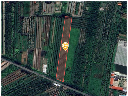Bán đất 6140.7m² 1.4 tỷ Thị xã Long Mỹ