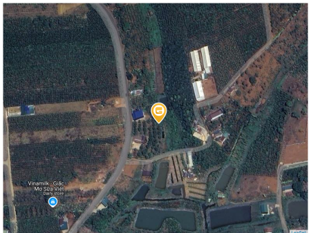 Bán đất 1000m² 500 triệu tại Xã Lộc An Huyện Bảo Lâm