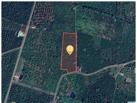 Bán đất 1000m² 500 triệu tại Xã Đinh Trang Hòa Huyện Di Linh