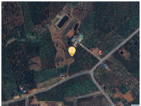Bán đất 1000m² 500 triệu tại Xã Lộc An Huyện Bảo Lâm