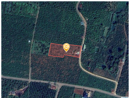 Bán đất 1000m² 500 triệu tại Xã Đinh Trang Hòa Huyện Di Linh