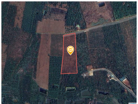 Bán đất 1000m² 500 triệu tại Xã Đinh Trang Hòa Huyện Di Linh