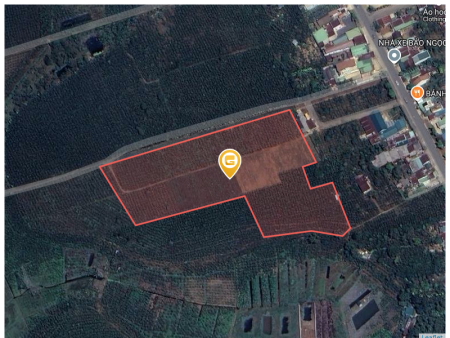 Bán đất 1000m² 500 triệu tại Phường Lộc Phát Thành phố Bảo Lộc