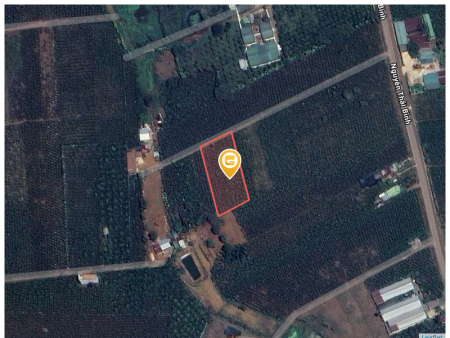 Bán đất 1000m² 500 triệu tại Phường Lộc Phát Thành phố Bảo Lộc