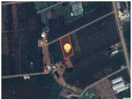 Bán đất 1000m² 500 triệu tại Phường Lộc Phát Thành phố Bảo Lộc