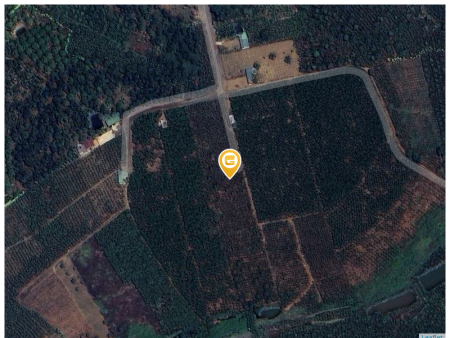 Bán đất 1000m² 500 triệu tại Xã Lộc An Huyện Bảo Lâm