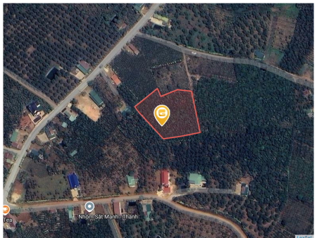 Bán đất 1000m² 500 triệu tại Xã Đinh Trang Hòa Huyện Di Linh