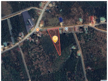 Bán đất 1000m² tại Xã Đinh Trang Hòa Huyện Di Linh