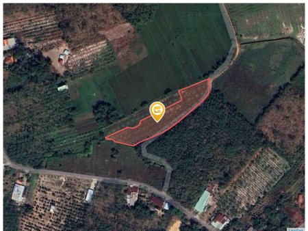 Bán đất 4860m² 5.5 tỷ tại Xã An Lập Huyện Dầu Tiếng