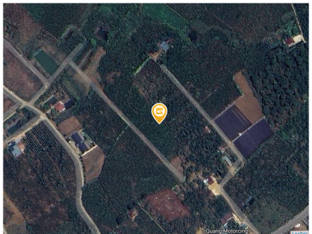 Bán đất 1000m² 500 triệu tại Xã Lộc An Huyện Bảo Lâm