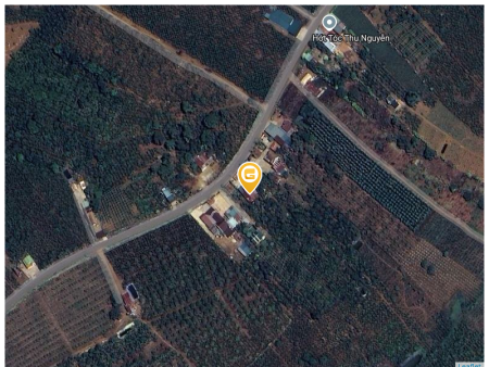 Bán đất 1000m² 500 triệu tại Xã Lộc An Huyện Bảo Lâm