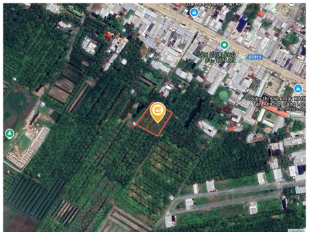 Bán đất 1491.1m² tại Xã Tân An Huyện Càng Long