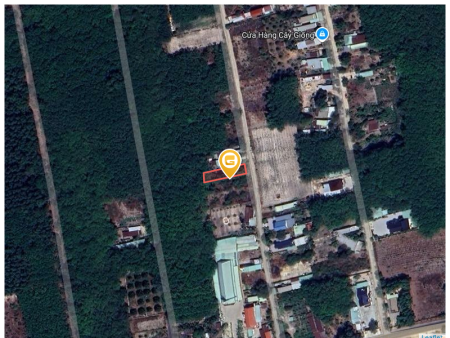 Bán đất 443.1m² 1.65 tỷ tại Xã Cây Trường II Huyện Bàu Bàng