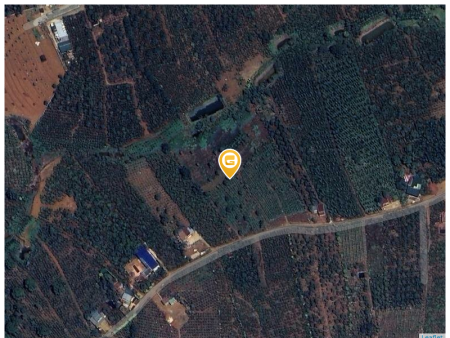 Bán đất 1000m² 500 triệu tại Xã Lộc An Huyện Bảo Lâm