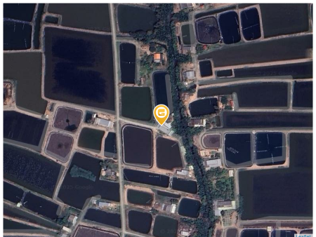 Bán nhà 10000m² 10 tỷ tại Xã Mỹ An Huyện Thạnh Phú