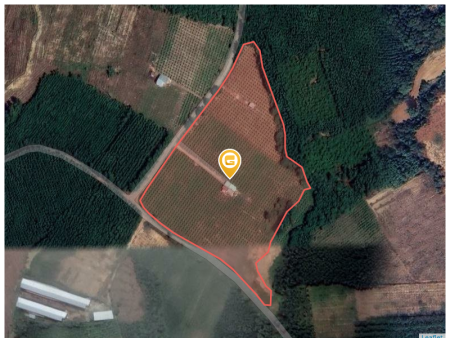 Bán đất 1000m² 1.6 tỷ tại Xã Hòa Bình Huyện Xuyên Mộc
