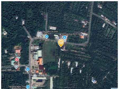 Bán đất 2000m² tại Xã Lương Phú Huyện Giồng Trôm