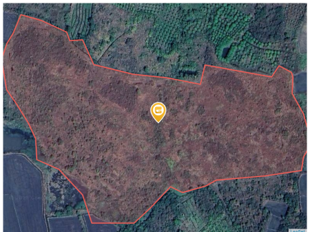 Bán đất 80000m² 2 tỷ tại Xã Sông Bình Huyện Bắc Bình