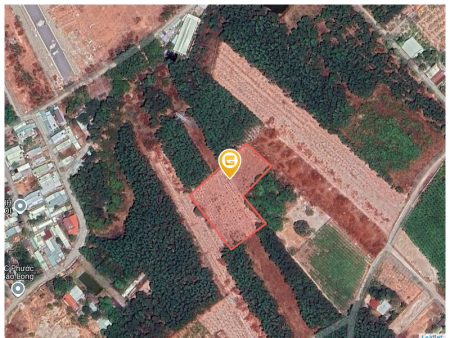 Bán đất 4692.3m² 8 tỷ tại Xã Phước Hoà Thị xã Phú Mỹ