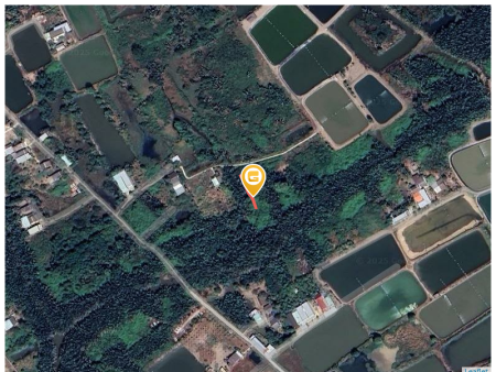 Bán đất 100m² tại Xã Phước Lại Huyện Cần Giuộc