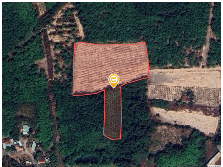 Bán đất 17919.4m² 30 tỷ tại Phường Mỹ Phước Thị xã Bến Cát