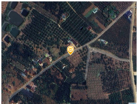 Bán đất 1000m² 500 triệu tại Xã Lộc Đức Huyện Bảo Lâm
