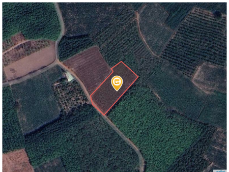 Bán đất 4828.8m² 3.7 tỷ tại Xã Phan Huyện Dương Minh Châu