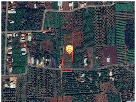 Nhà  ba 4032.6m² tại Xã Ia Rong Huyện Chư Pưh