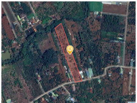 Bán đất 4974.6m² 5.55 tỷ tại Phường Ea Tam Thành phố Buôn Ma Thuột