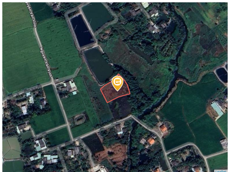 Bán đất 1889.3m² 1.9 tỷ tại Xã Bình Trinh Đông Huyện Tân Trụ