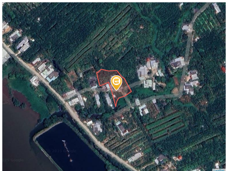 Bán đất 2459.1m² tại Xã Mỹ Hòa Thị xã Bình Minh