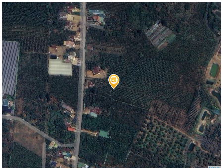 Bán đất 100-1000m² 500 triệu tại Xã Lộc Đức Huyện Bảo Lâm